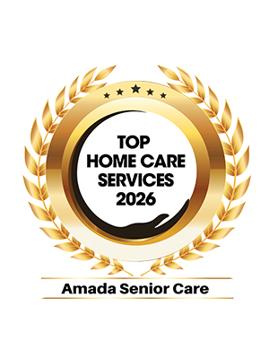 Top Home Care Services 2026
